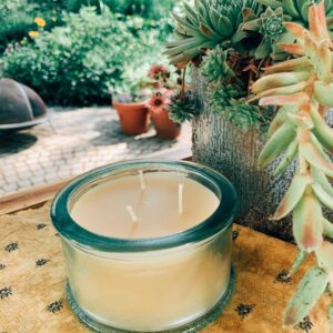 Outdoor setting with wax candle and plants