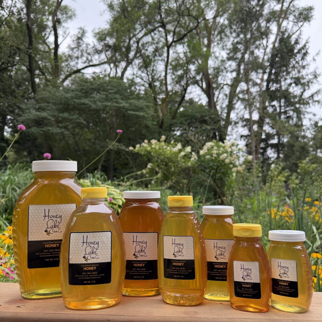 4 Pounds of Honey - PICKUP ONLY - Image 4