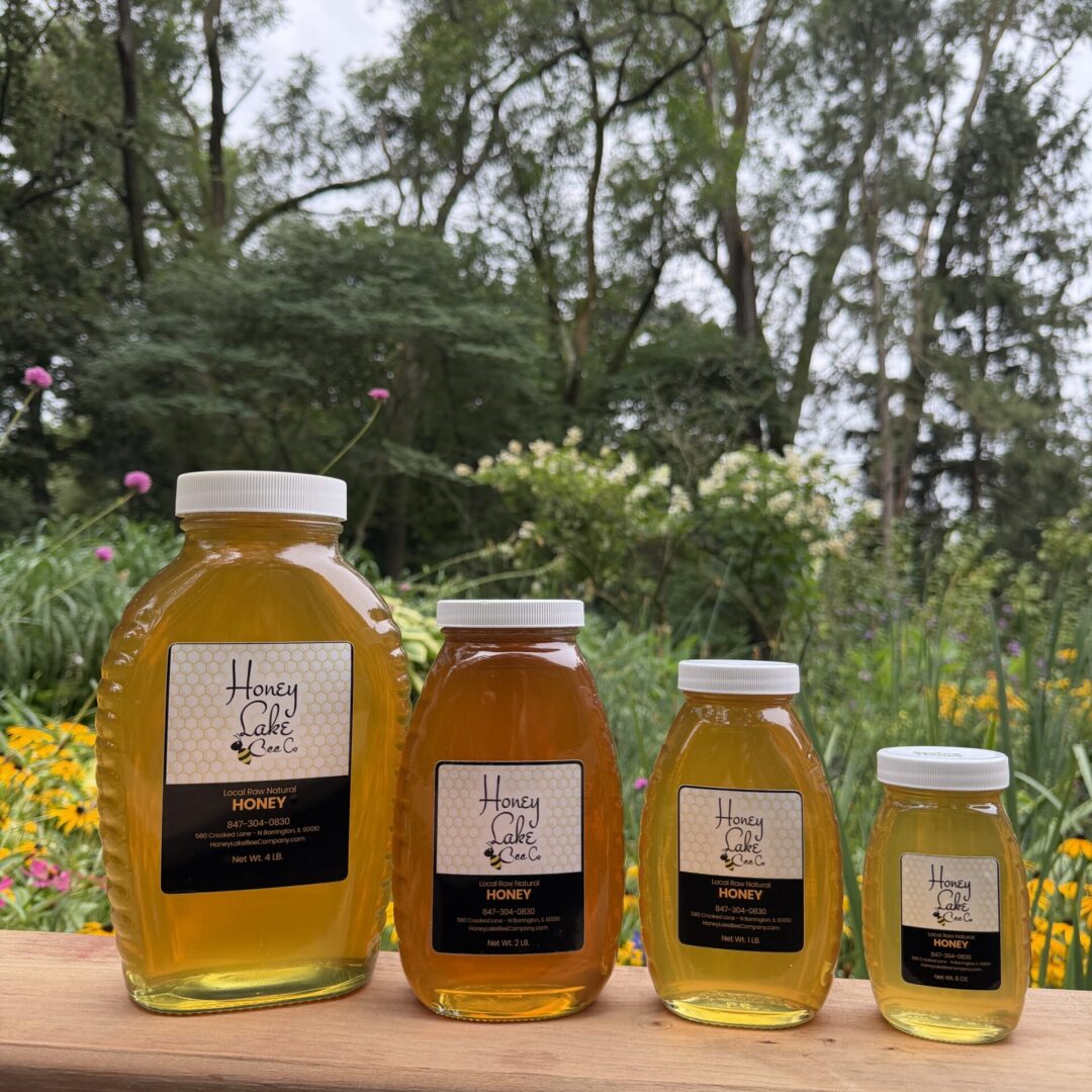 4 Pounds of Honey - PICKUP ONLY - Image 5