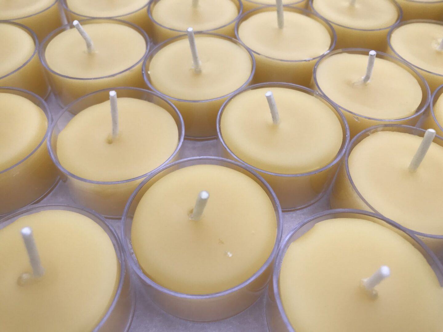 beeswax tealights