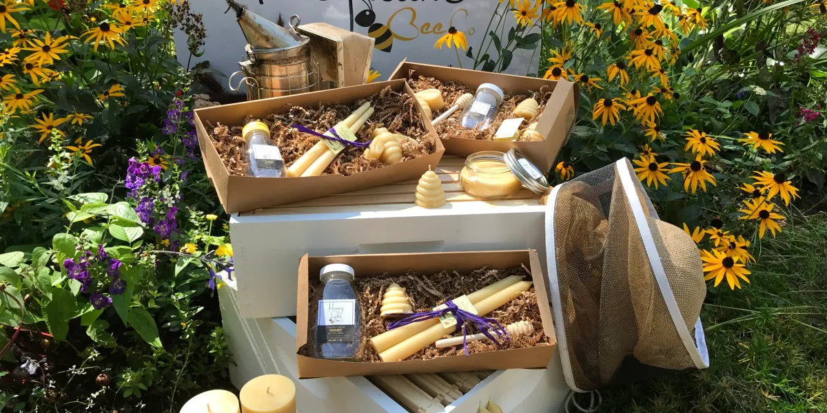 Bee gift boxes among colorful garden flowers