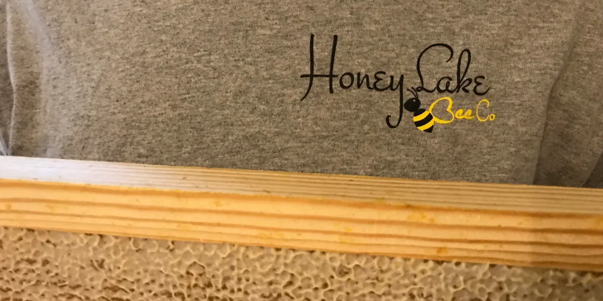 Beekeeper holding honeycomb frame