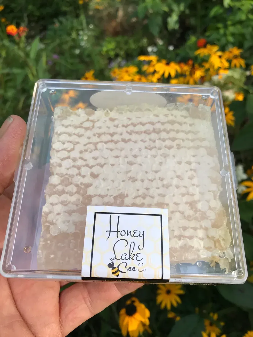 Hand holding honeycomb product