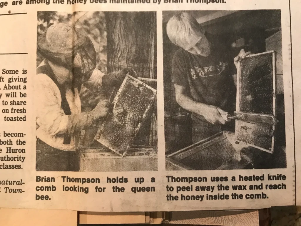 Beekeeper using heated knife on honeycomb