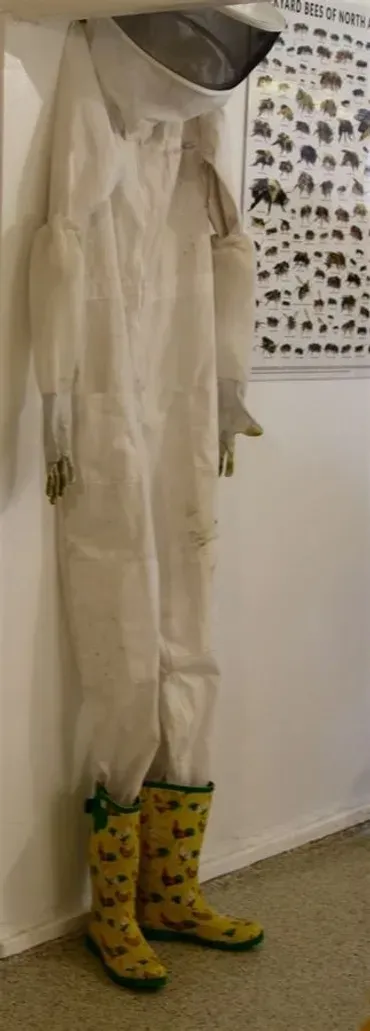 Protective gear for beekeeping display