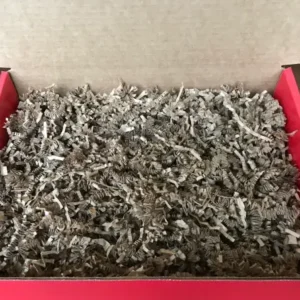 Red box with packaging material inside