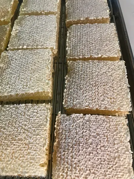 Honeycomb squares on drying rack