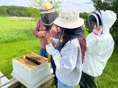 Group observing bees in protective gear