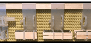 Transparent clips holding small wooden blocks.