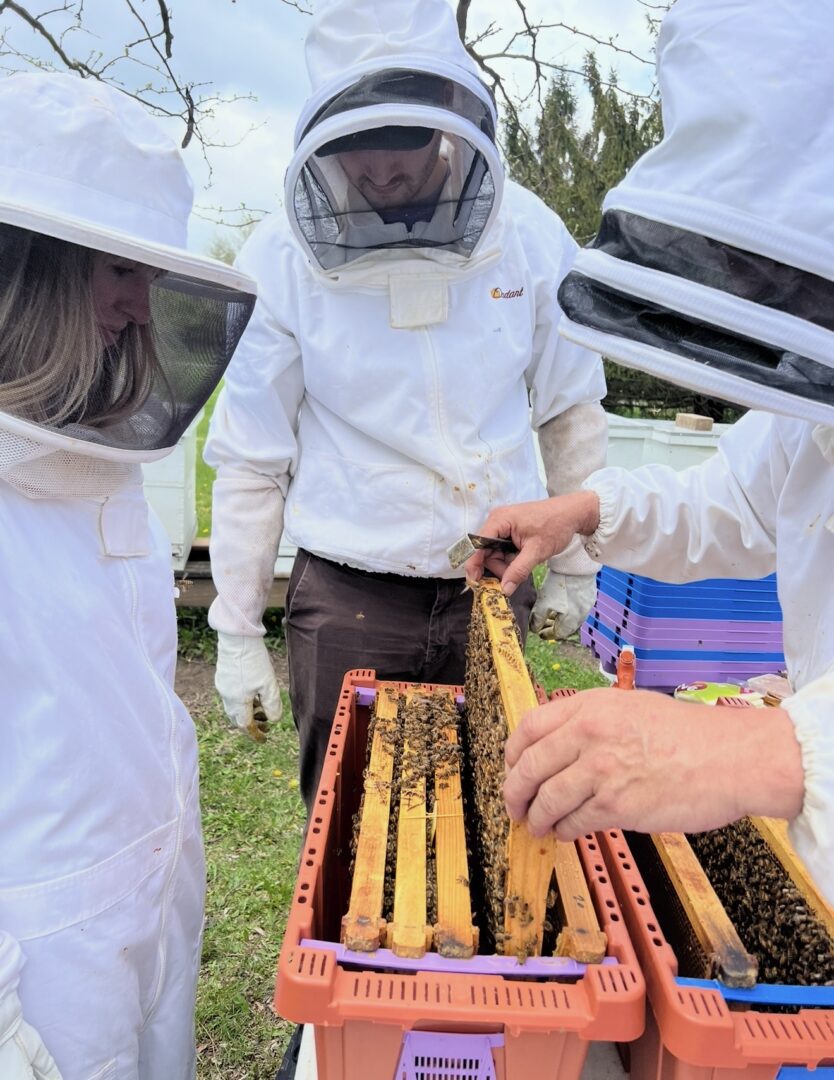 Honey Lake Bee Company