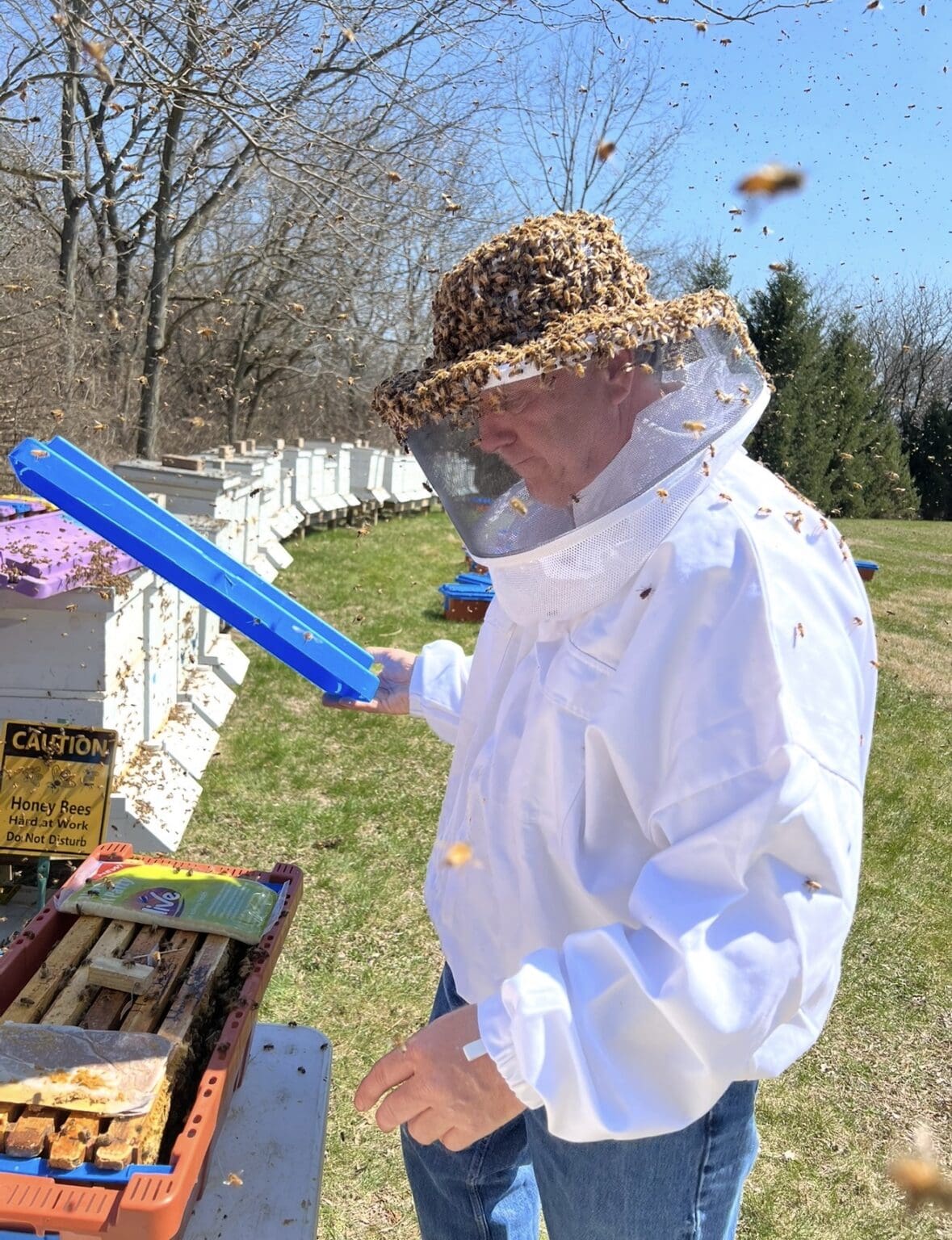 Honey Lake Bee Company